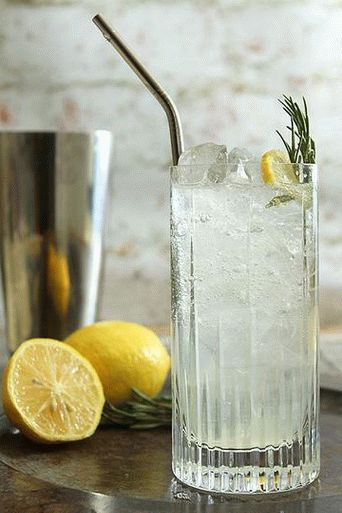 Fotografija gina z medom in limono