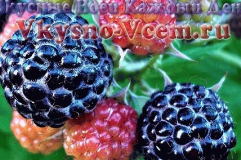 Blackberry v lastnem soku