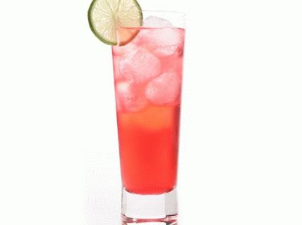 Foto brusnična vodka s tonikom