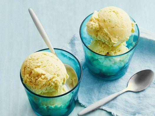 Foto sladoled z mangom, kokosom in lipo brez sladoleda