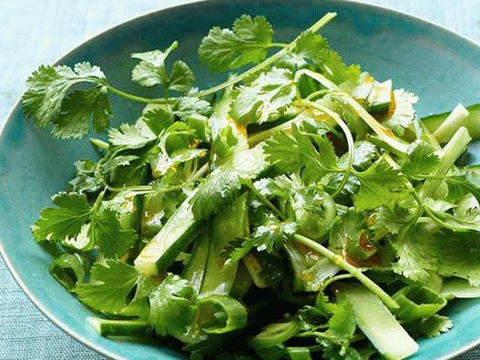 Foto pikantna kumarova solata s cilantro in zeleno čebulo