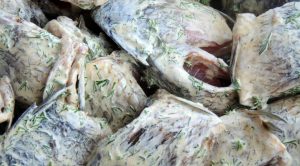 Šiški kebab iz kraškega krapa