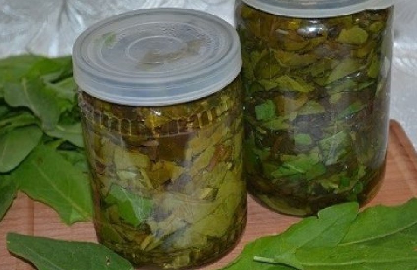 Kravica za zimo v banki