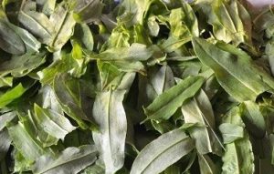 Kravica za zimo v banki