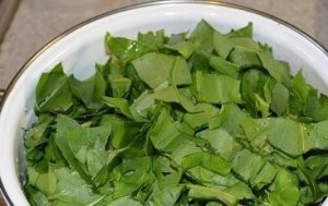 Kravica za zimo v banki