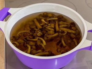 Sirna juha z medenimi gobami